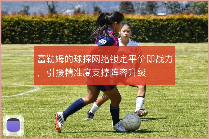 富勒姆的球探网络锁定平价即战力,引援精准度支撑阵容升级