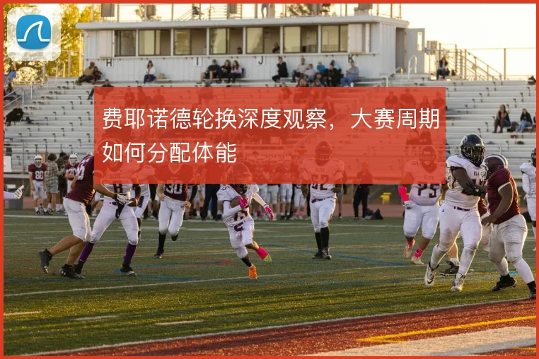 费耶诺德轮换深度观察，大赛周期如何分配体能